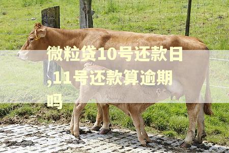 微粒贷10号还款日,11号还款算逾期吗