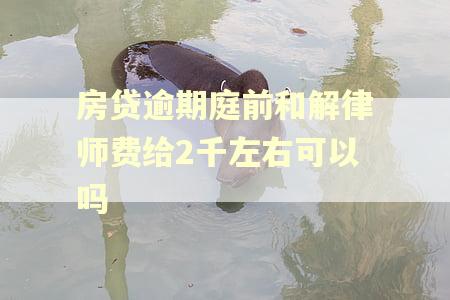 房贷逾期庭前和解律师费给2千左右可以吗