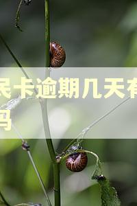 便民卡逾期几天有影响吗