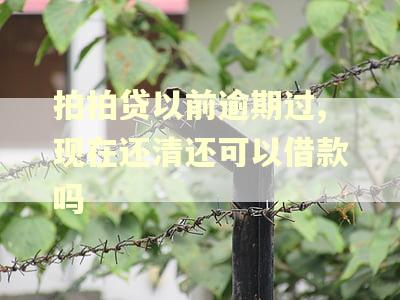 拍拍贷以前逾期过,现在还清还可以借款吗