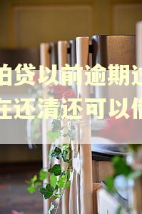 拍拍贷以前逾期过,现在还清还可以借款吗