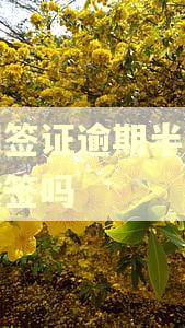 泰国签证逾期半年还能续签吗