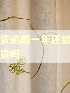 网贷逾期一年还能办车贷吗