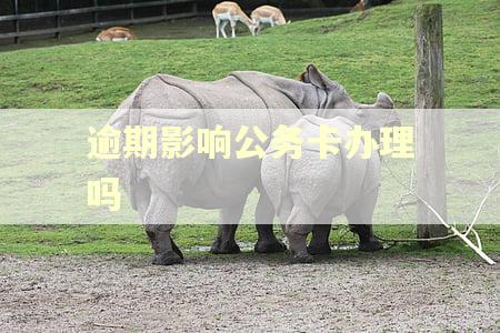 逾期影响公务卡办理吗