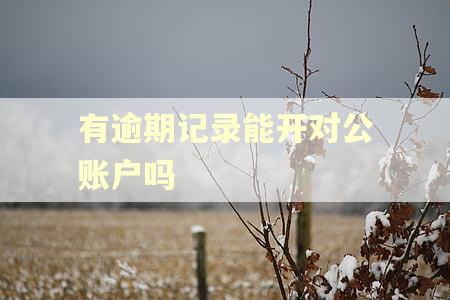 有逾期记录能开对公账户吗