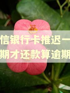 中信银行卡推迟一个星期才还款算逾期吗