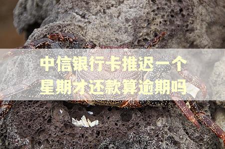 中信银行卡推迟一个星期才还款算逾期吗
