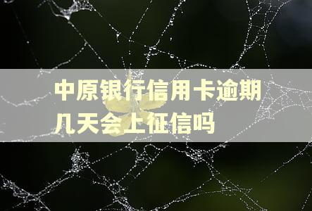 中原银行信用卡逾期几天会上征信吗
