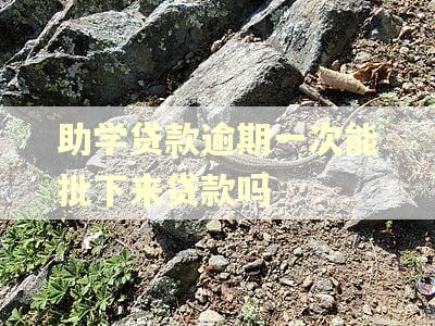 助学贷款逾期一次能批下来贷款吗