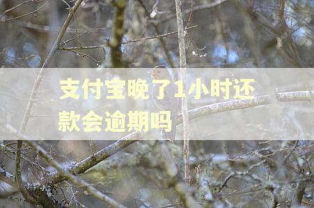 支付宝晚了1小时还款会逾期吗
