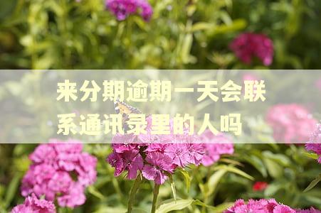 来分期逾期一天会联系通讯录里的人吗