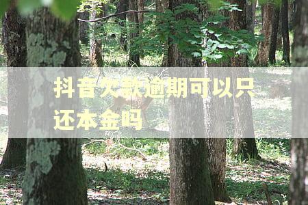抖音欠款逾期可以只还本金吗