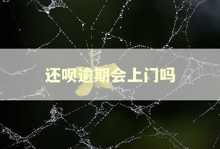 还呗逾期会上门吗