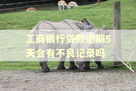 工商银行贷款逾期5天会有不良记录吗