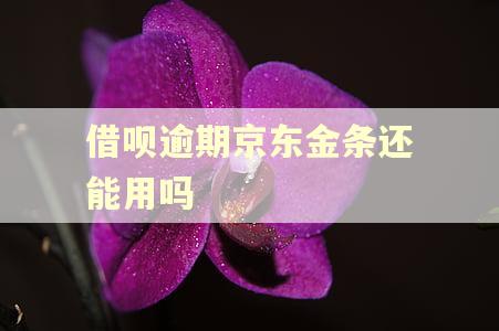 借呗逾期京东金条还能用吗