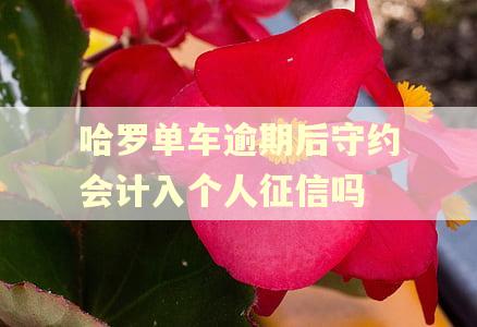 哈罗单车逾期后守约会计入个人征信吗