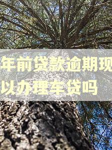 三年前贷款逾期现在可以办理车贷吗