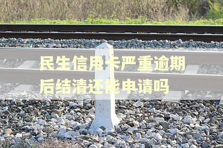 民生信用卡严重逾期后结清还能申请吗 民生信用卡严重逾期后结清还能申请吗