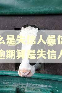 什么是失信人员信用卡逾期算是失信人吗