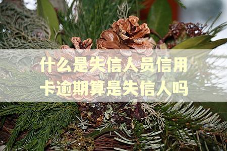 什么是失信人员信用卡逾期算是失信人吗
