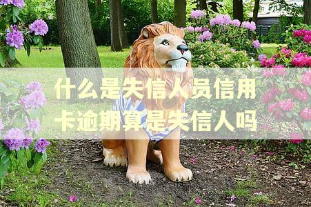 什么是失信人员信用卡逾期算是失信人吗 什么是失信人员信用卡逾期算是失信人吗