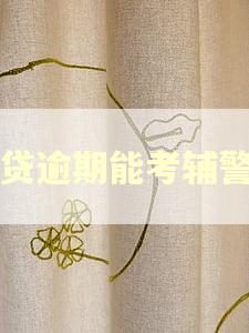 网贷逾期能考辅警吗