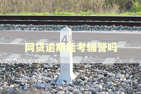 网贷逾期能考辅警吗 网贷逾期能考辅警吗