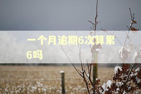 一个月逾期6次算累6吗