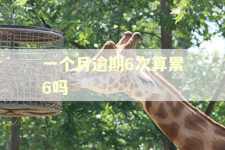 一个月逾期6次算累6吗