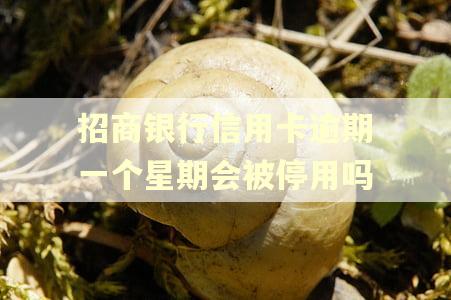 招商银行信用卡逾期一个星期会被停用吗