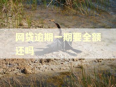 网贷逾期一期要全额还吗