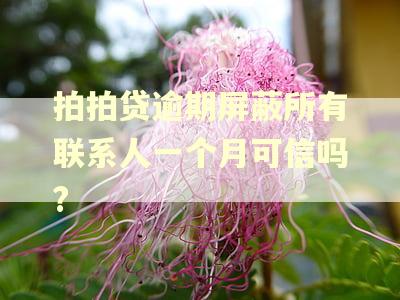拍拍贷逾期屏蔽所有联系人一个月可信吗?