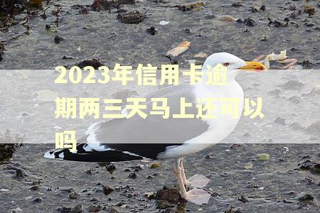 2023年信用卡逾期两三天马上还可以吗