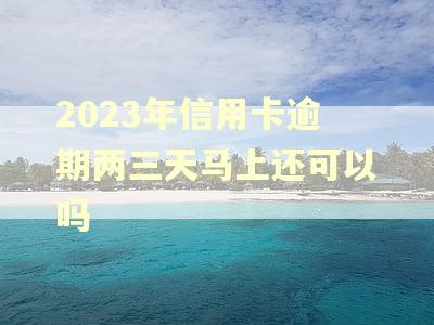 2023年信用卡逾期两三天马上还可以吗