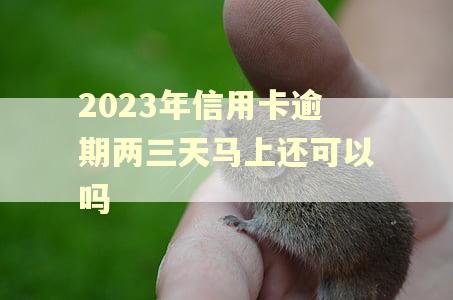 2023年信用卡逾期两三天马上还可以吗