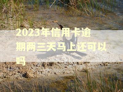 2023年信用卡逾期两三天马上还可以吗 2023年信用卡逾期两三天马上还可以吗