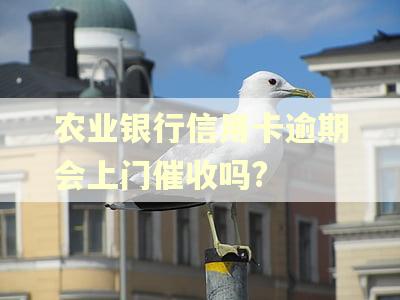 农业银行信用卡逾期会上门催收吗?