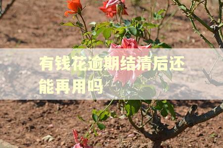 有钱花逾期结清后还能再用吗
