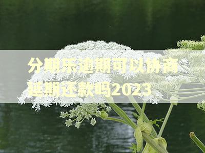 分期乐逾期可以协商延期还款吗2023