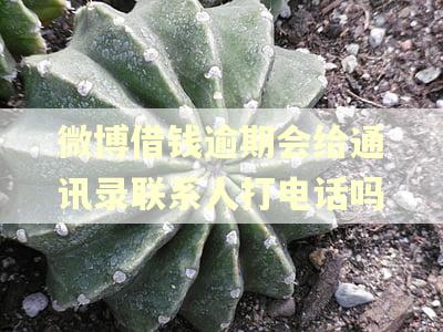 微博借钱逾期会给通讯录联系人打电话吗