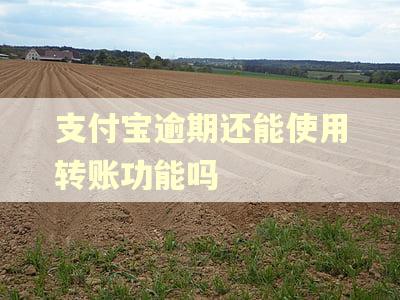支付宝逾期还能使用转账功能吗