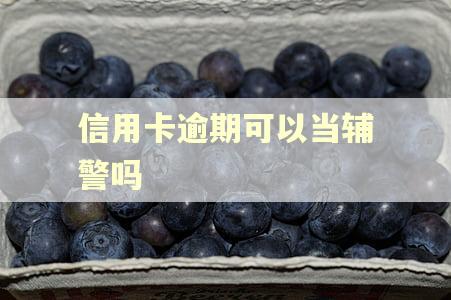 信用卡逾期可以当辅警吗