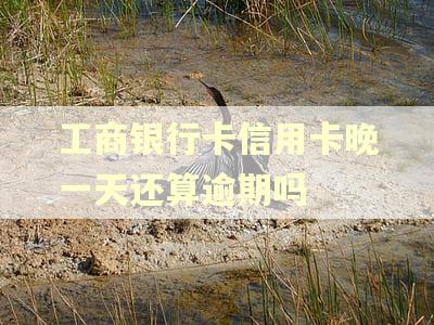 工商银行卡信用卡晚一天还算逾期吗 工商银行卡信用卡晚一天还算逾期吗