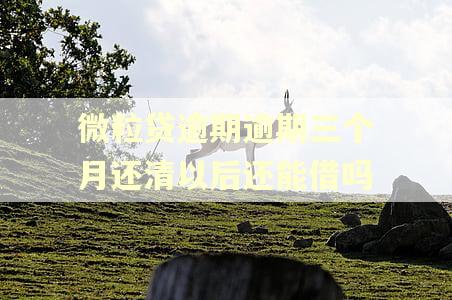 微粒贷逾期逾期三个月还清以后还能借吗