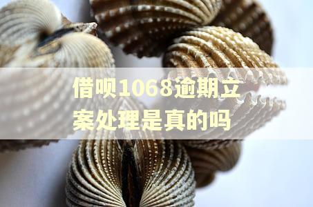 借呗1068逾期立案处理是真的吗