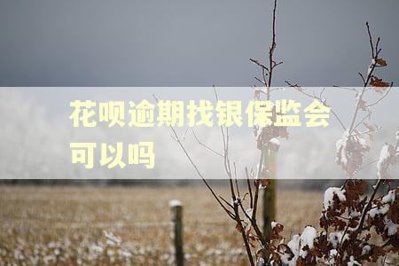 花呗逾期找银保监会可以吗
