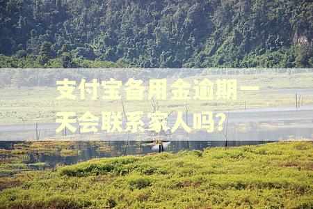 支付宝备用金逾期一天会联系家人吗？