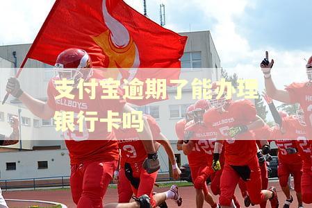 支付宝逾期了能办理银行卡吗