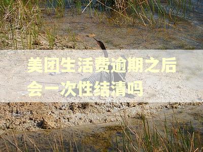 美团生活费逾期之后会一次性结清吗