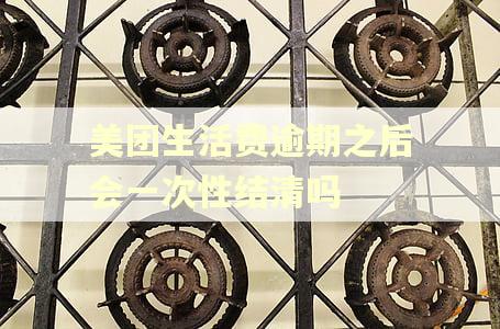 美团生活费逾期之后会一次性结清吗
